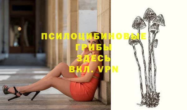 мескалин Надым