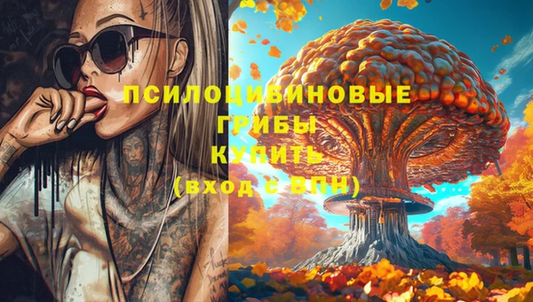 мескалин Надым
