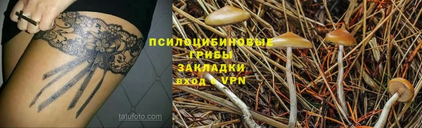 мескалин Надым
