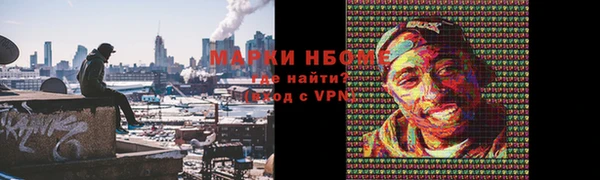 винт Тында