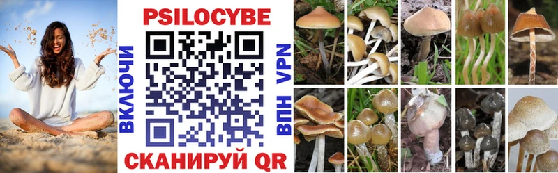 что такое наркотик  кракен ссылки  Псилоцибиновые грибы Psilocybe  Абинск 
