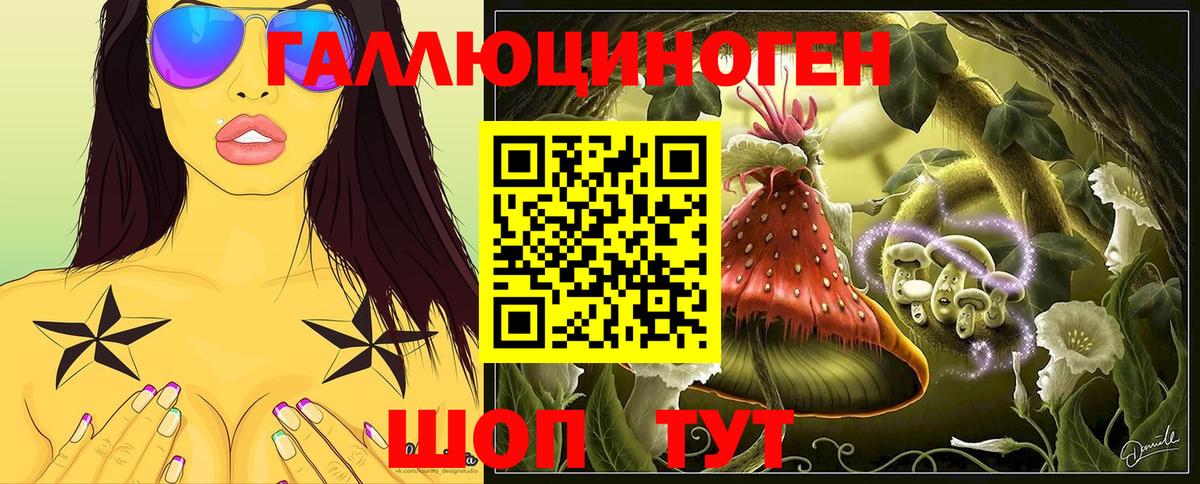 Абинск  Псилоцибиновые грибы Psilocybe  Вход с VPN 