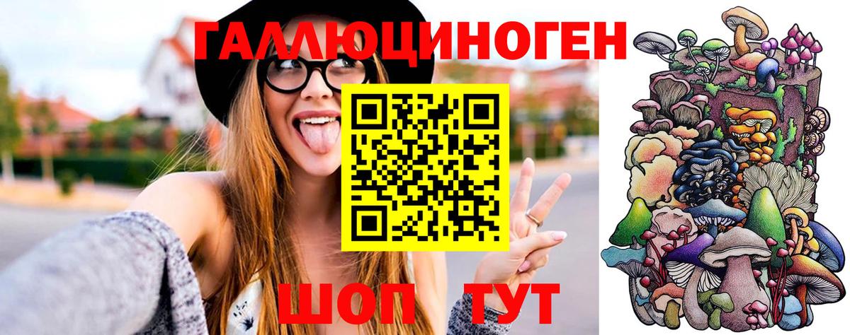 Галлюциногенные грибы Psilocybe  Галлюциногенные грибы Cubensis  Абинск 