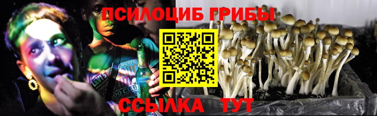 Галлюциногенные грибы MAGIC MUSHROOMS Абинск